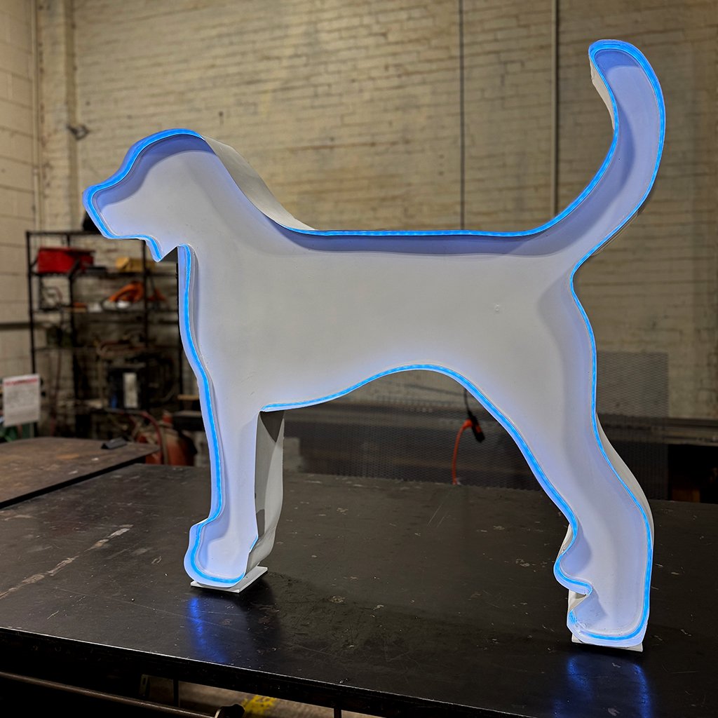Knoxville Sculptor Marisa Mitchell's dog with neon